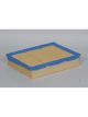 Fram Air Filter