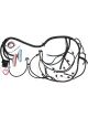 Aeroflow LS1 Standalone Wiring Harness