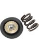 Aeroflow Replacement Spring & Diaphragm Assembly For AF66-2058