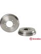 Brembo Drum Brake