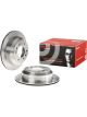Brembo Brake Rotor