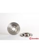 Brembo Disc Brake Rotor (Single) 260mm
