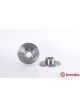 Brembo Brake Rotor