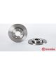 Brembo Disc Brake Rotor (Single) 247mm