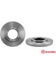 Brembo Disc Brake Rotor (Single) 233mm