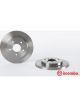 Brembo Disc Brake Rotor (Single) 273mm