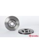 Brembo Disc Brake Rotor (Single) 281mm