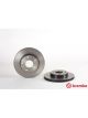 Brembo Disc Brake Rotor (Single) 262mm