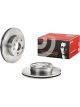 Brembo Brake Rotor