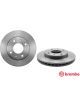 Brembo Brake Rotor