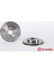 Brembo Disc Brake Rotor (Single) 255mm