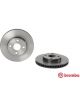 Brembo Brake Rotor