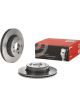Brembo Brake Rotor
