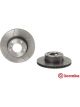 Brembo Disc Brake Rotor (Single) 296mm