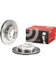 Brembo Brake Rotor