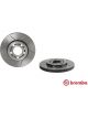 Brembo Disc Brake Rotor (Single) 256mm