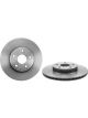 Brembo Brake Rotor