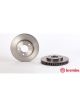 Brembo Disc Brake Rotor (Single) 278mm