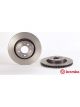 Brembo Brake Rotor