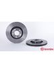 Brembo Disc Brake Rotor (Single) 312mm