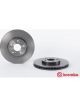Brembo Disc Brake Rotor (Single) 300mm