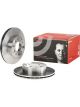 Brembo Disc Brake Rotor (Single) 300mm