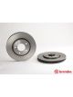 Brembo Disc Brake Rotor (Single) 281mm