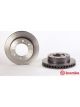 Brembo Disc Brake Rotor (Single) 325mm