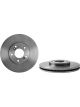 Brembo Disc Brake Rotor (Single) 300mm
