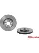 Brembo Disc Brake Rotor (Single) 280mm