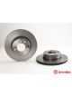 Brembo Disc Brake Rotor (Single) 310mm