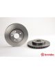 Brembo Disc Brake Rotor (Single) 295mm