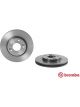 Brembo Brake Rotor