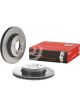 Brembo Disc Brake Rotor (Single) 325mm