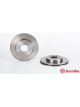Brembo Disc Brake Rotor (Single) 260mm