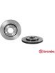 Brembo Disc Brake Rotor (Single) 247mm