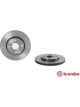 Brembo Disc Brake Rotor (Single) 247mm