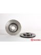 Brembo Brake Rotor