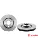 Brembo Disc Brake Rotor (Single) 295mm