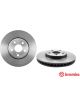 Brembo Disc Brake Rotor (Single) 275mm