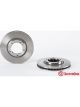 Brembo Disc Brake Rotor (Single) 254mm
