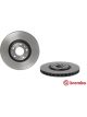 Brembo Brake Rotor