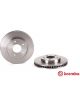 Brembo Brake Rotor
