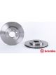 Brembo Disc Brake Rotor (Single) 258mm