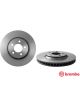 Brembo Disc Brake Rotor (Single) 316mm