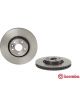 Brembo Disc Brake Rotor (Single) 316mm