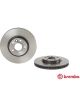 Brembo Disc Brake Rotor (Single) 300mm
