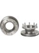 Brembo Disc Brake Rotor (Single) 377mm