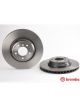 Brembo Disc Brake Rotor (Single) 348mm