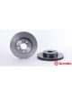 Brembo Disc Brake Rotor (Single) 295mm